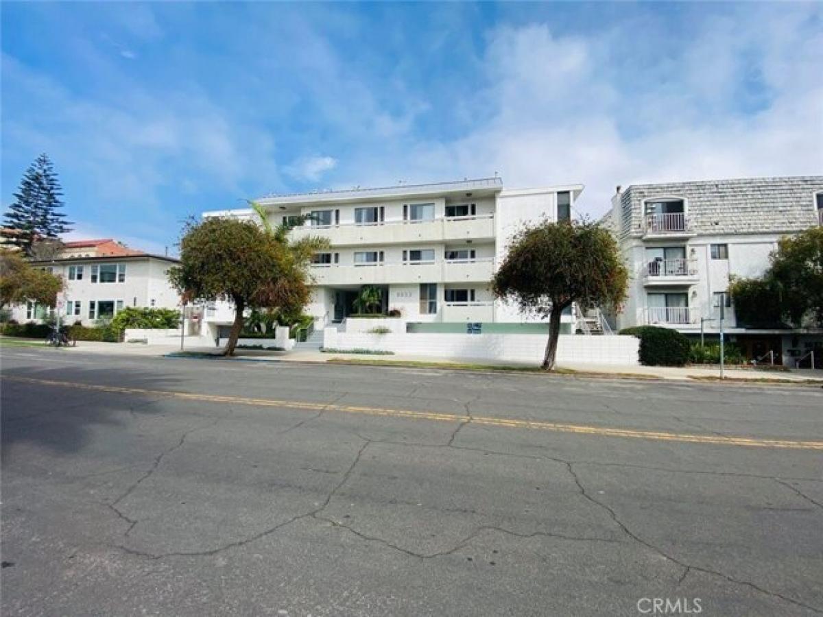 Picture of Apartment For Rent in Santa Monica, California, United States