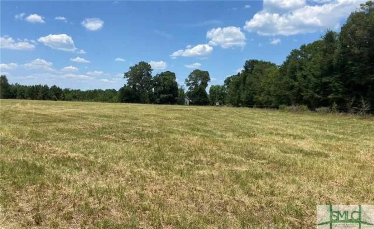 Picture of Residential Land For Sale in Adrian, Georgia, United States