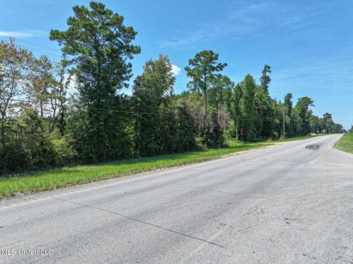 Picture of Residential Land For Sale in Petal, Mississippi, United States