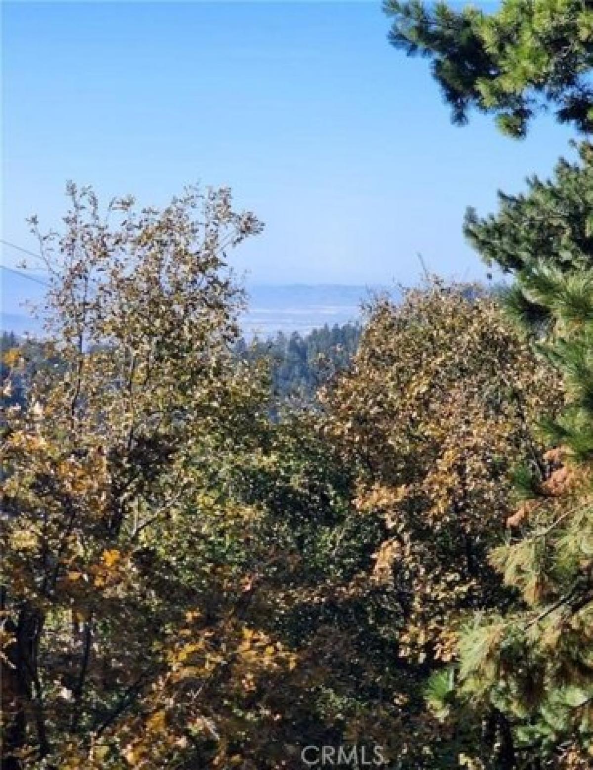 Picture of Residential Land For Sale in Twin Peaks, California, United States