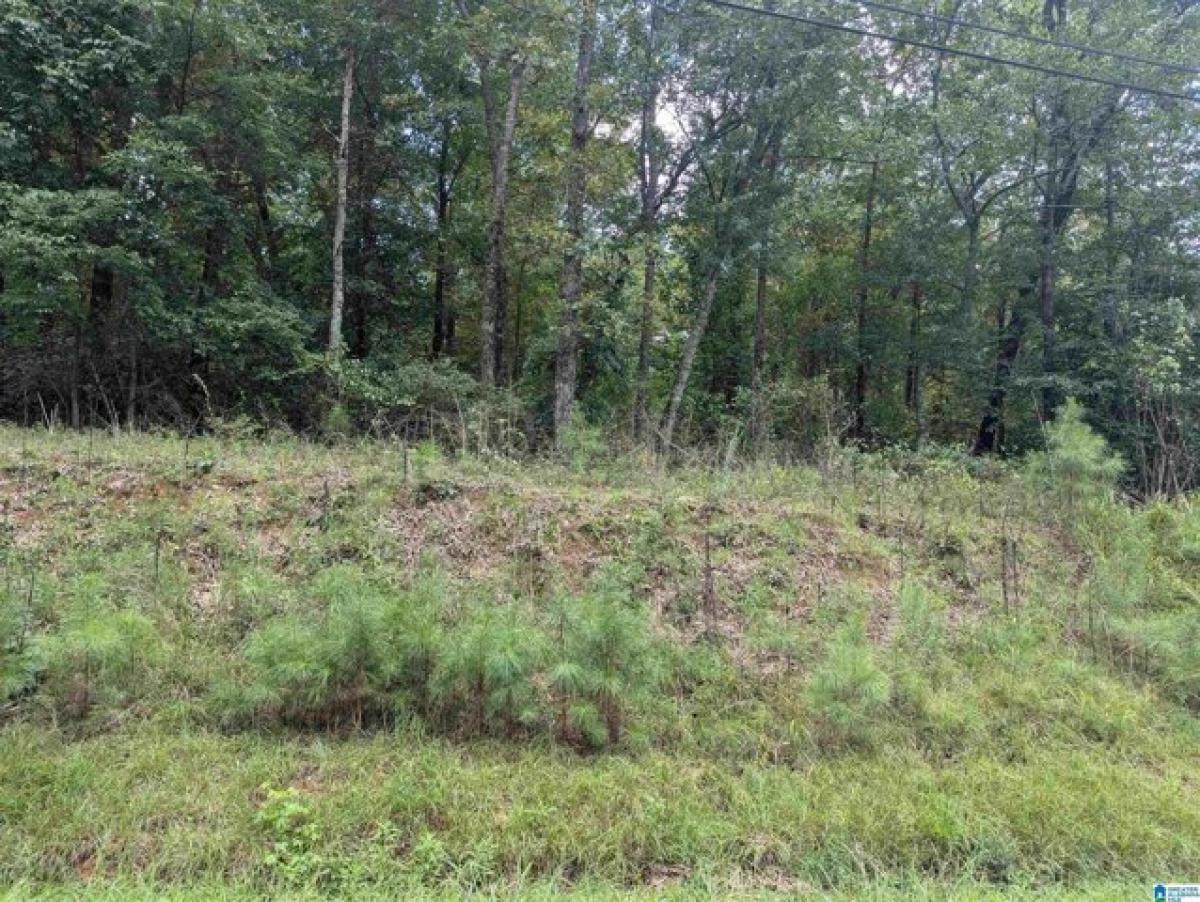 Picture of Residential Land For Sale in Anniston, Alabama, United States