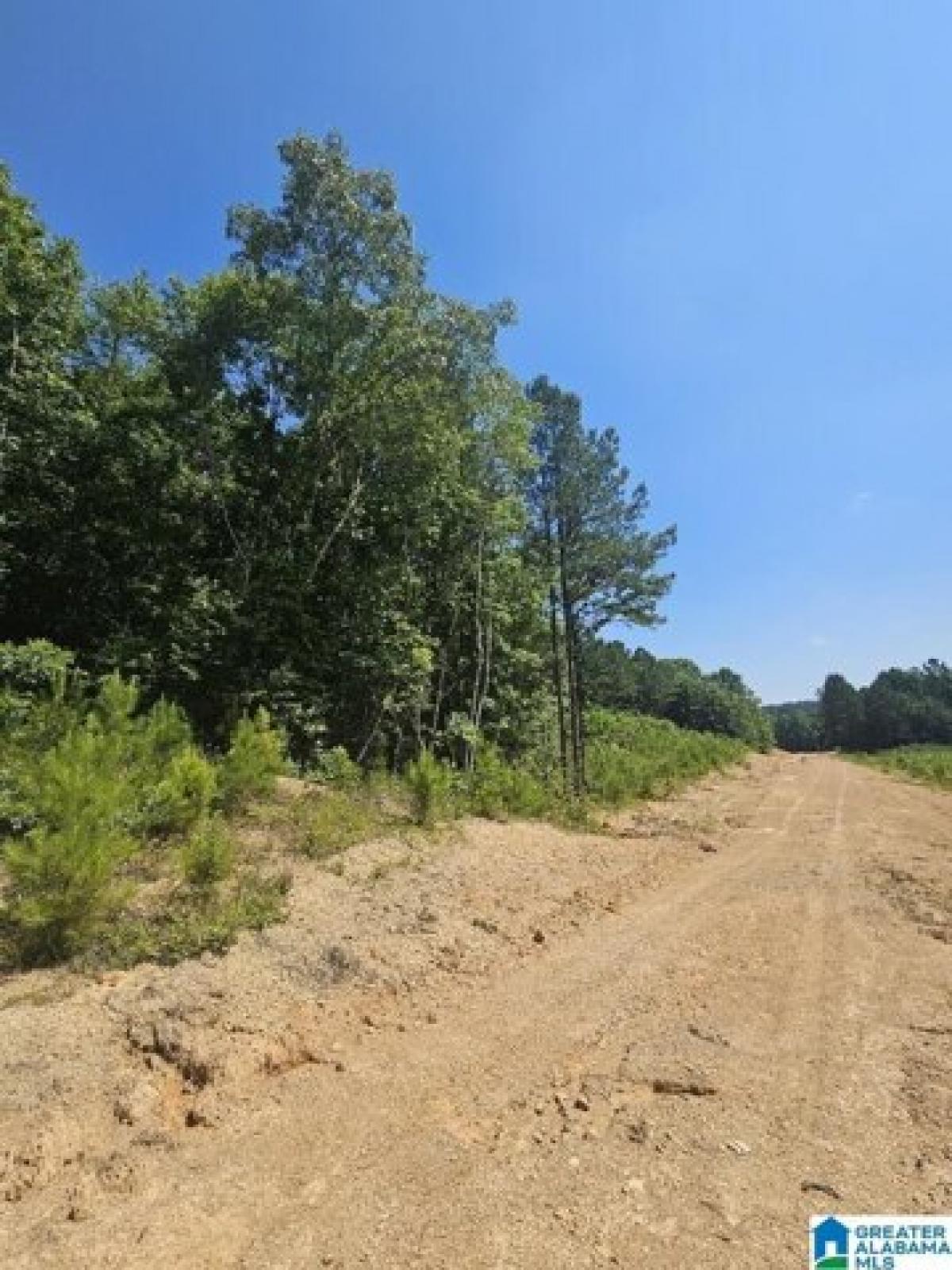 Picture of Residential Land For Sale in Odenville, Alabama, United States