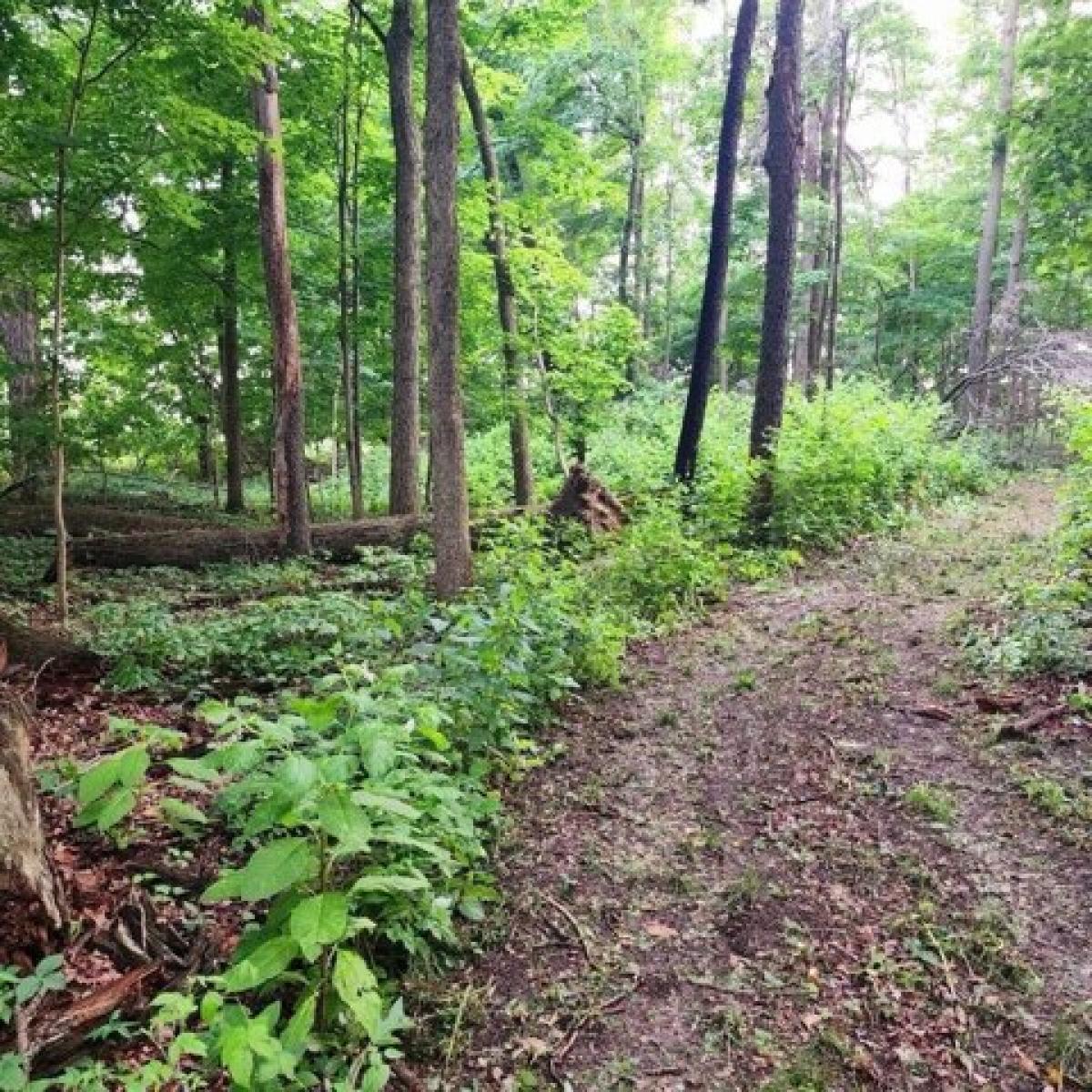 Picture of Residential Land For Sale in Galion, Ohio, United States