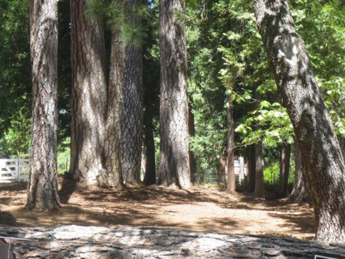 Picture of Residential Land For Sale in Grass Valley, California, United States