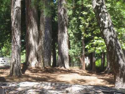 Residential Land For Sale in Grass Valley, California