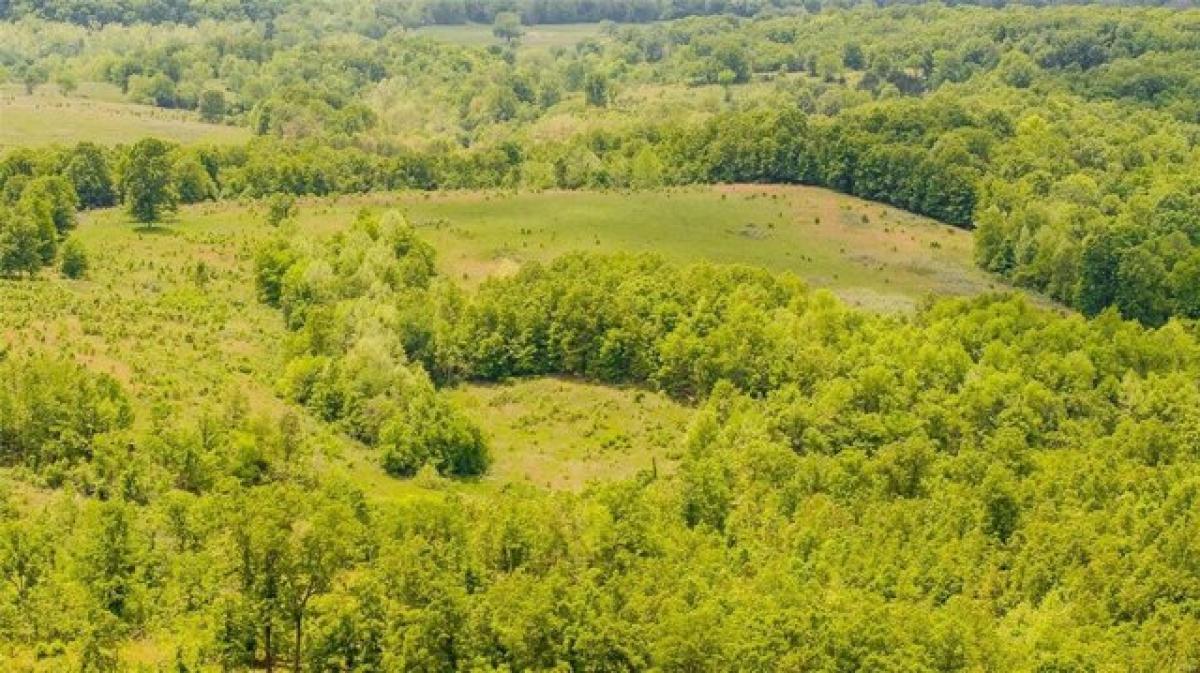 Picture of Residential Land For Sale in Steelville, Missouri, United States