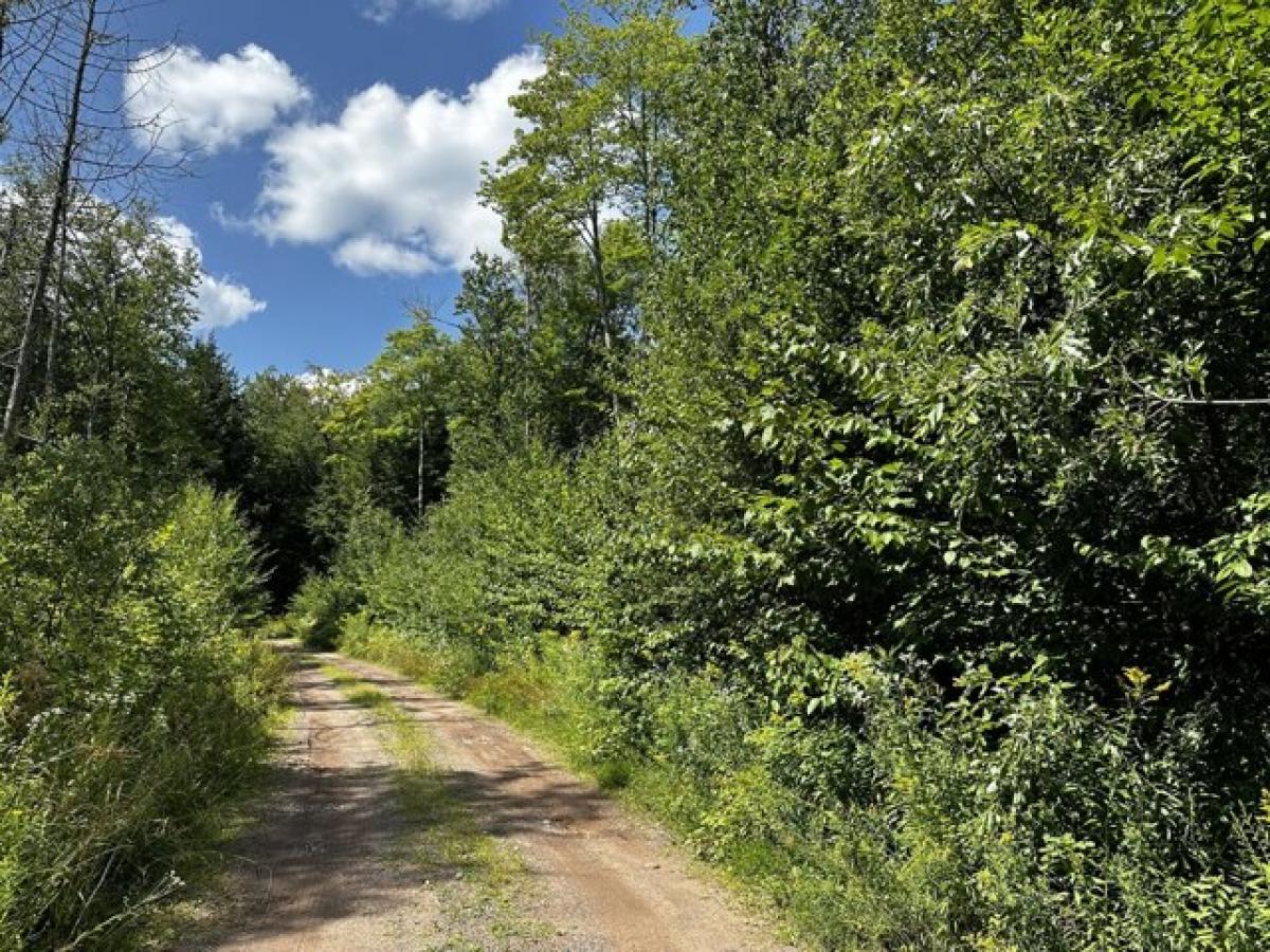 Picture of Residential Land For Sale in Watersmeet, Michigan, United States