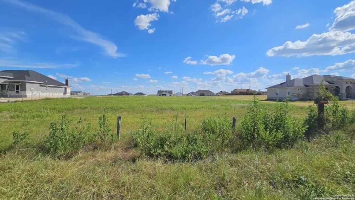 Picture of Residential Land For Sale in La Vernia, Texas, United States