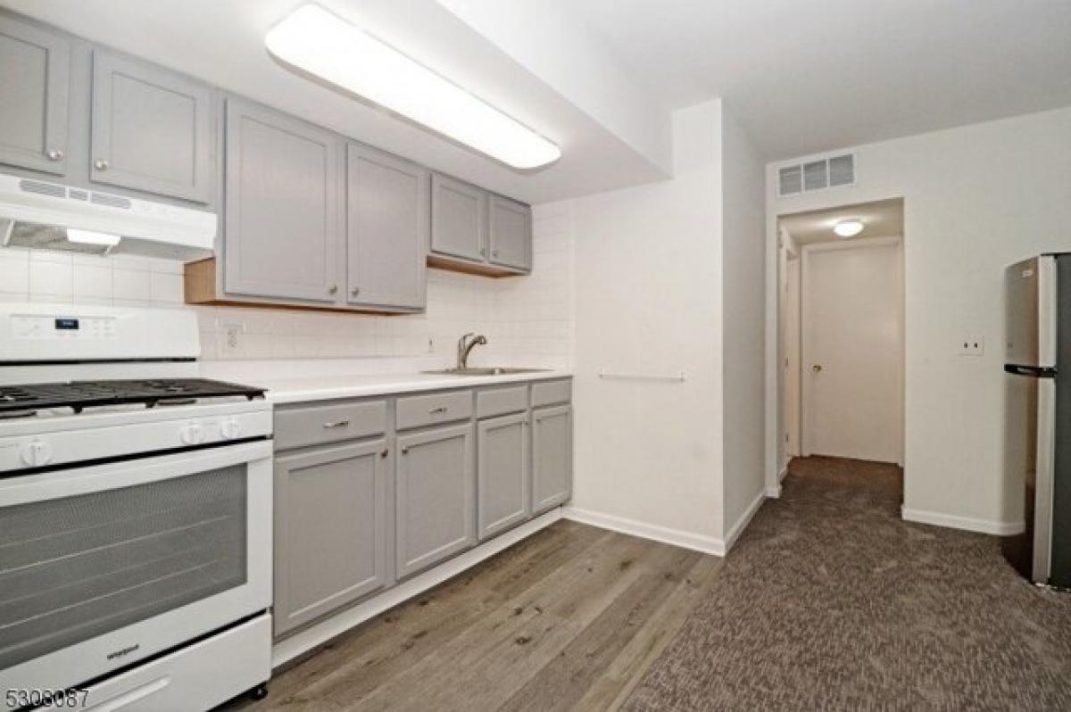 Picture of Apartment For Rent in Madison, New Jersey, United States