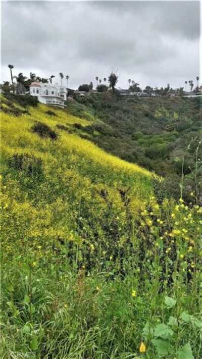 Residential Land For Sale in San Clemente, California