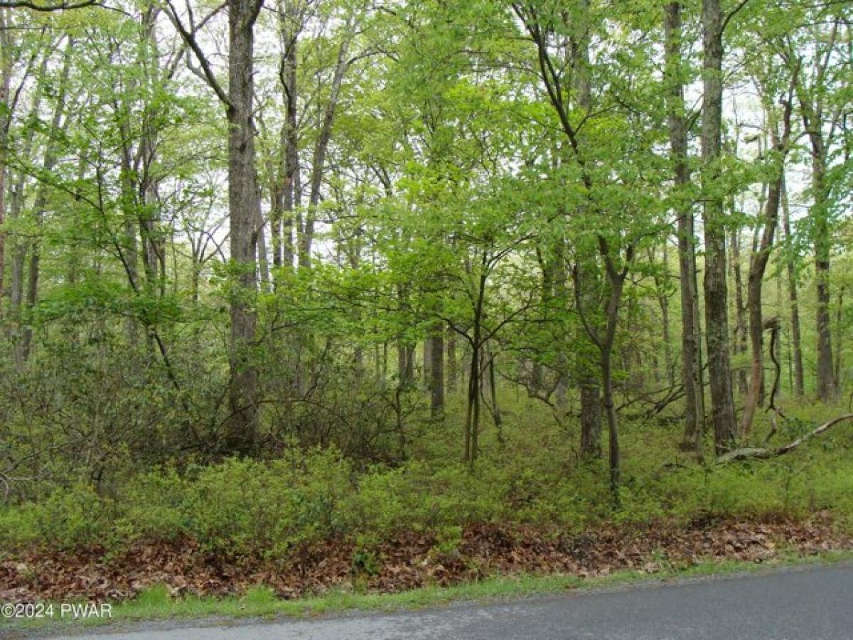 Picture of Residential Land For Sale in Milford, Pennsylvania, United States