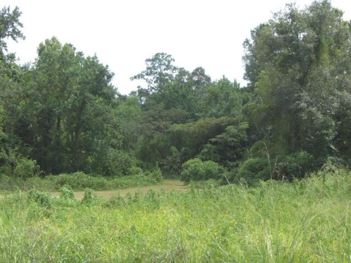 Picture of Residential Land For Sale in Picayune, Mississippi, United States