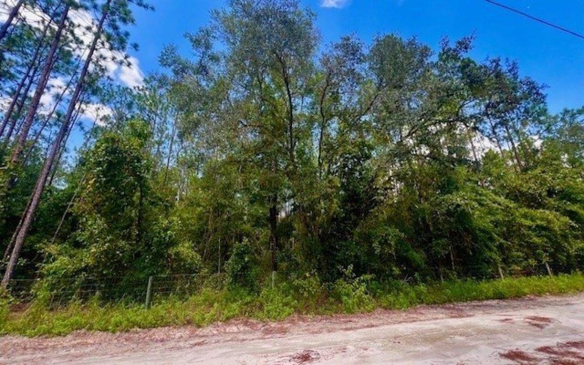 Picture of Residential Land For Sale in Bell, Florida, United States