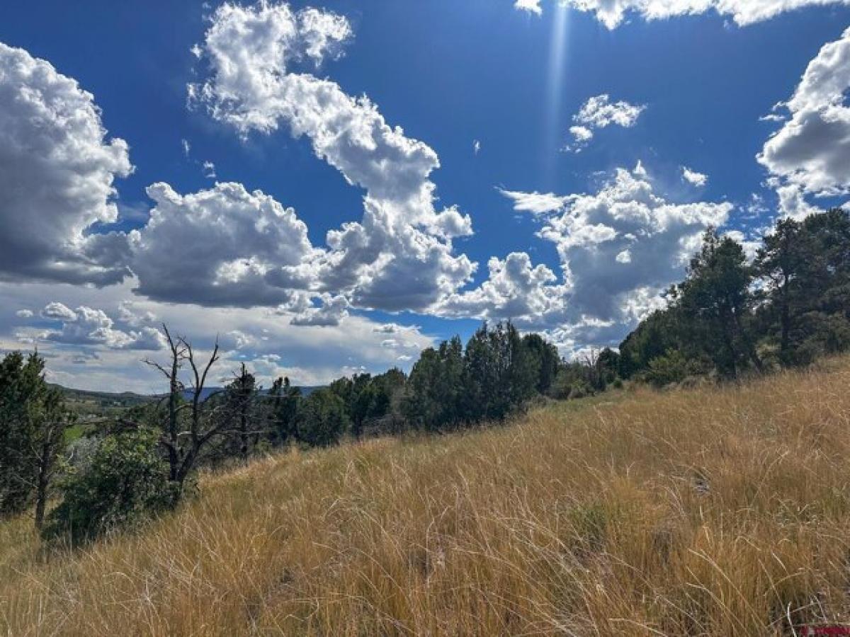 Picture of Residential Land For Sale in Mancos, Colorado, United States