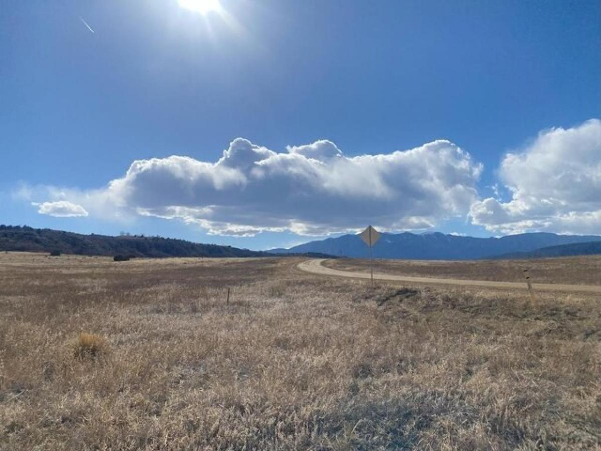 Picture of Residential Land For Rent in Colorado City, Colorado, United States