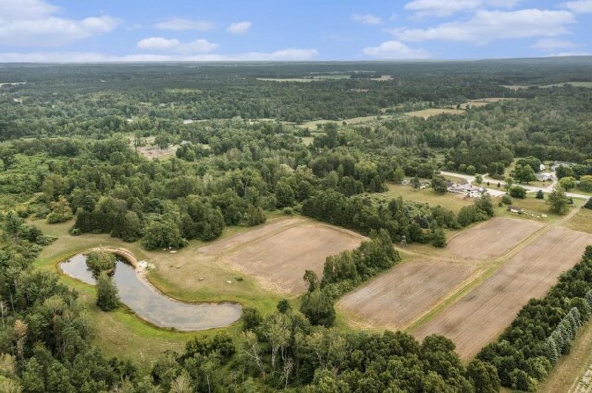 Picture of Residential Land For Sale in Hart, Michigan, United States