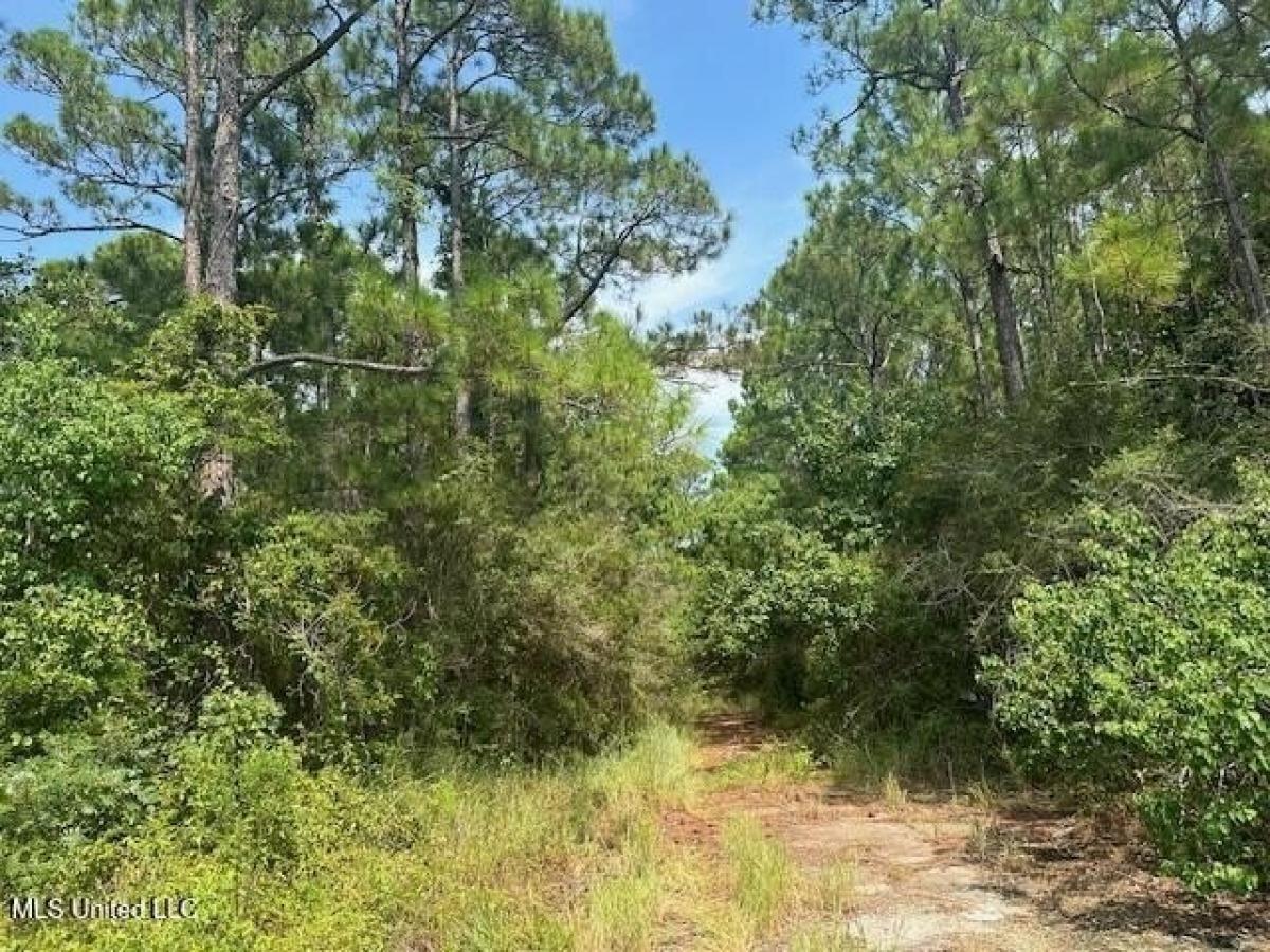 Picture of Residential Land For Sale in Pass Christian, Mississippi, United States