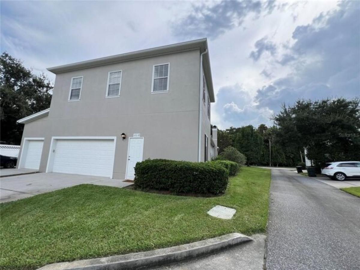 Picture of Home For Rent in Celebration, Florida, United States