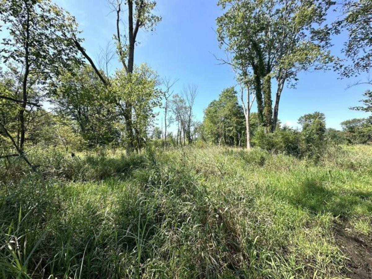 Picture of Residential Land For Sale in Dowagiac, Michigan, United States