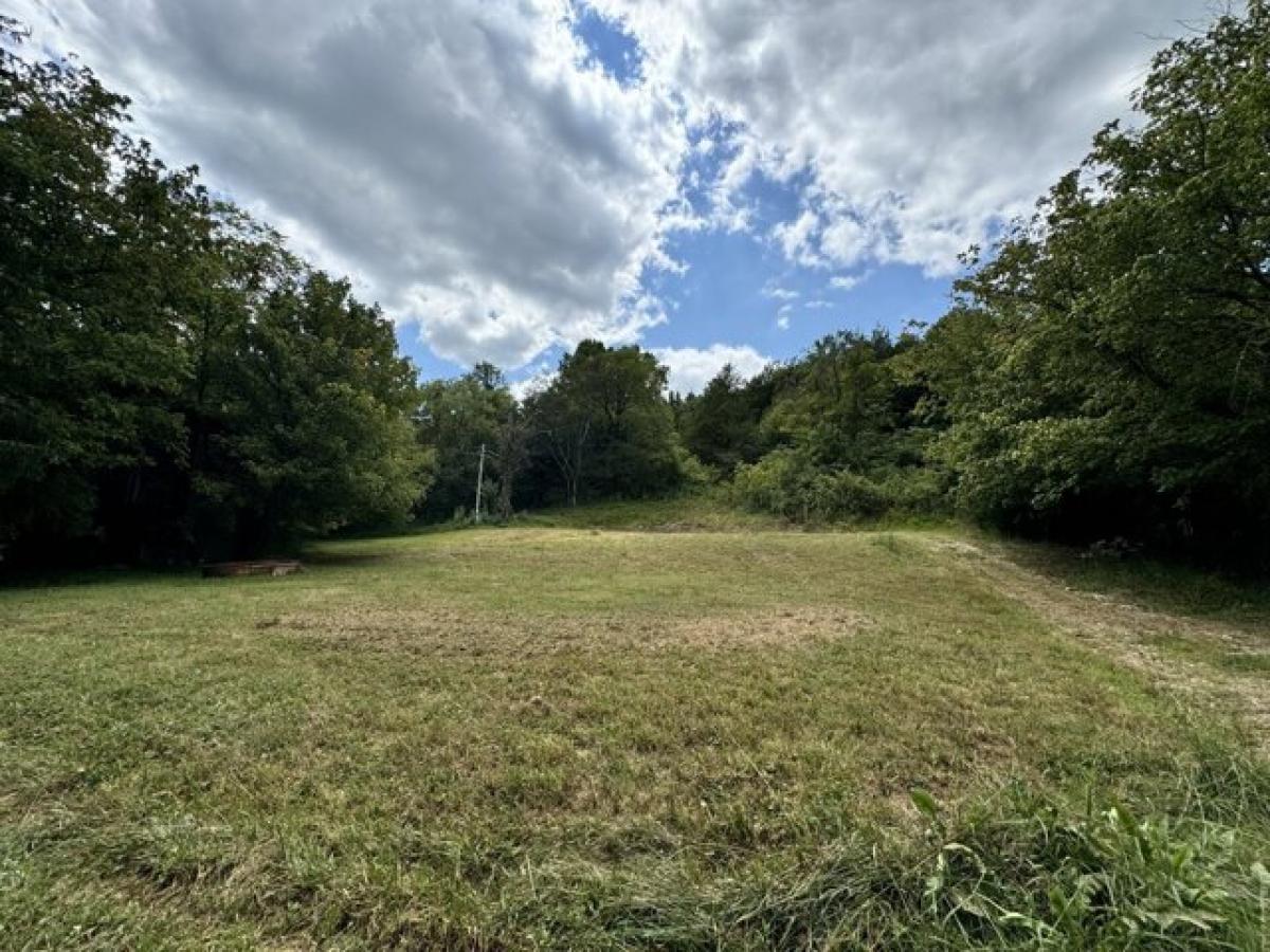 Picture of Residential Land For Sale in Pleasant Shade, Tennessee, United States