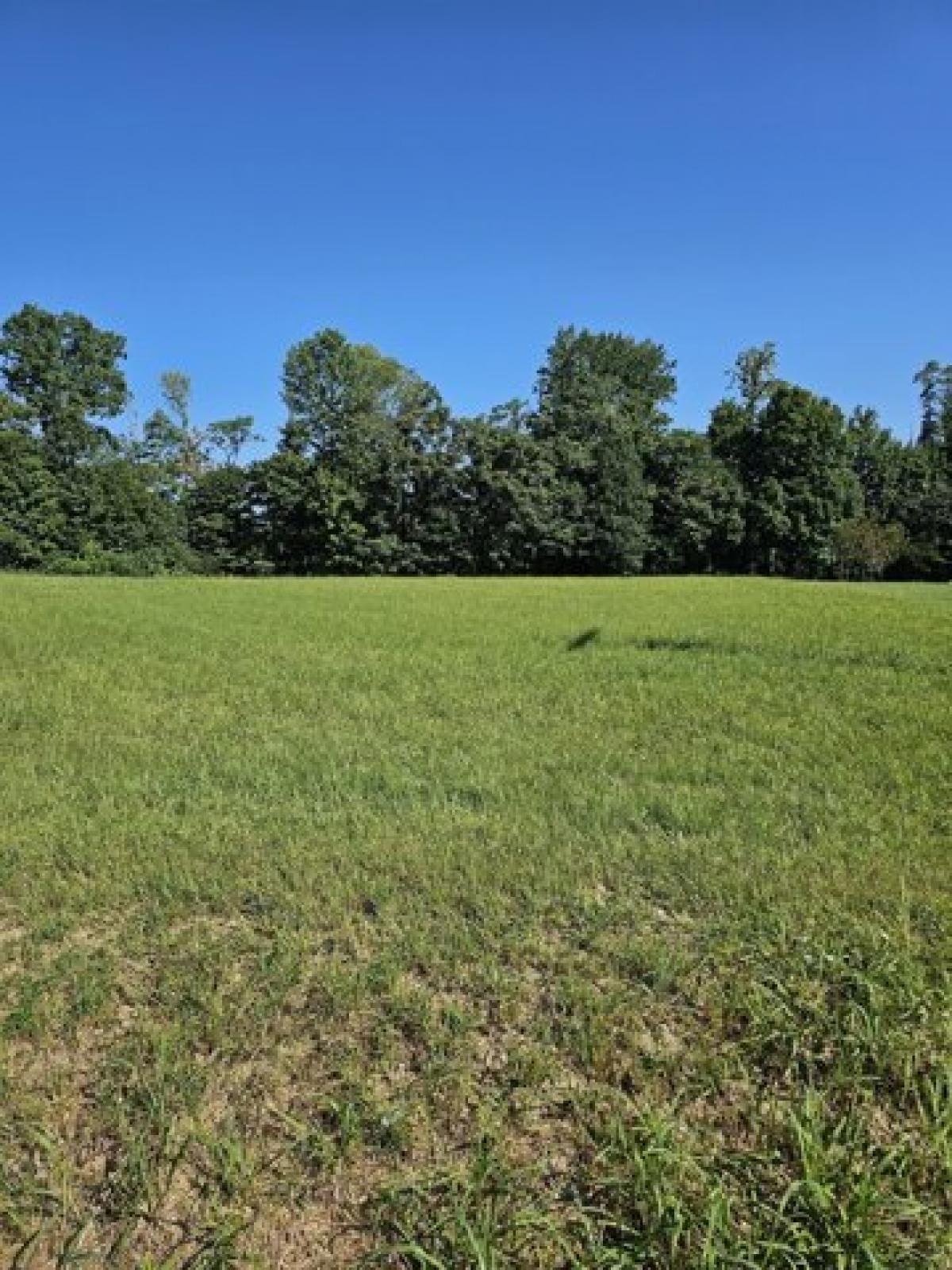 Picture of Residential Land For Sale in Lafayette, Tennessee, United States