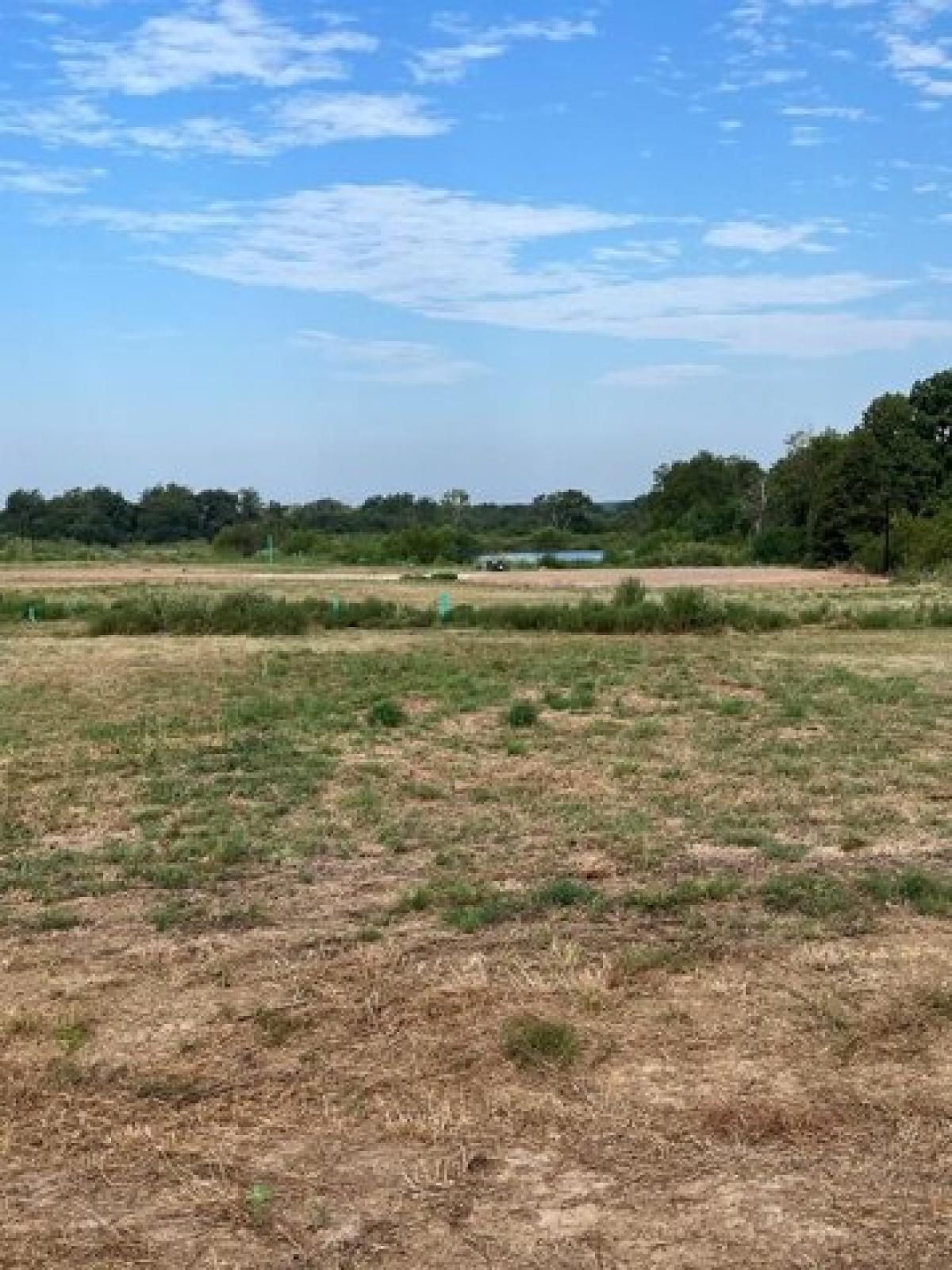 Picture of Residential Land For Sale in Mabank, Texas, United States