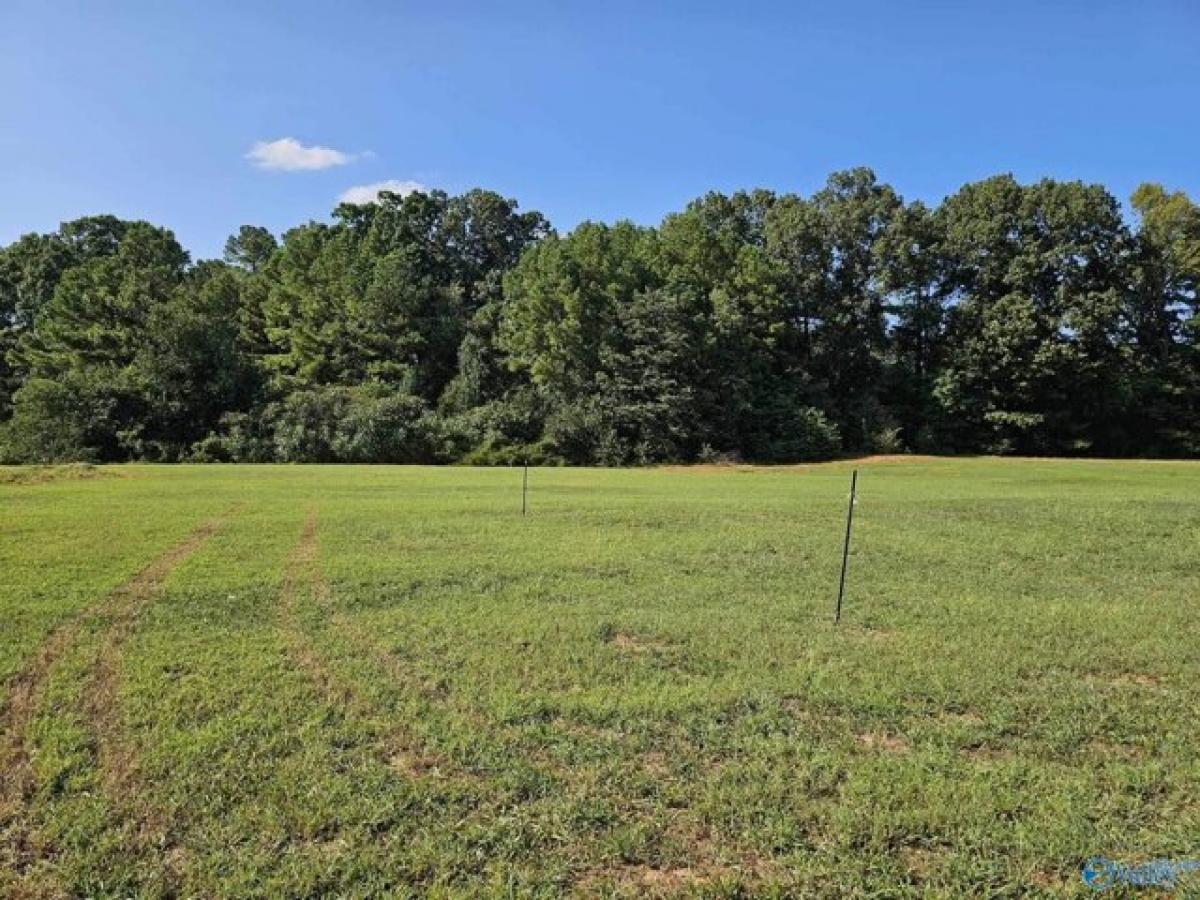 Picture of Residential Land For Sale in Athens, Alabama, United States