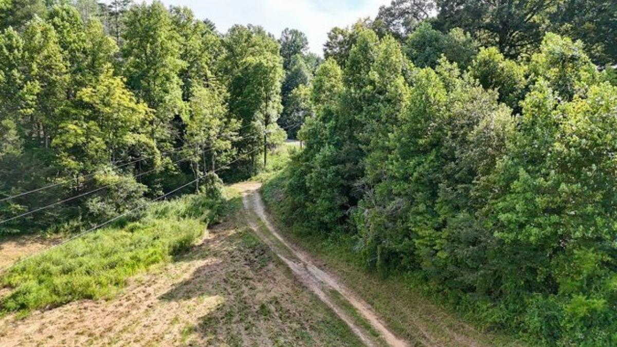 Picture of Residential Land For Sale in Murphy, North Carolina, United States