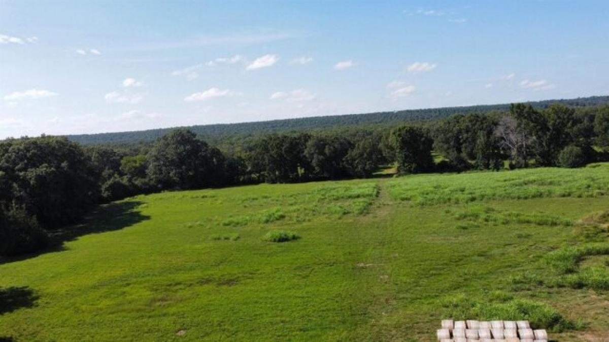 Picture of Residential Land For Sale in Vilonia, Arkansas, United States