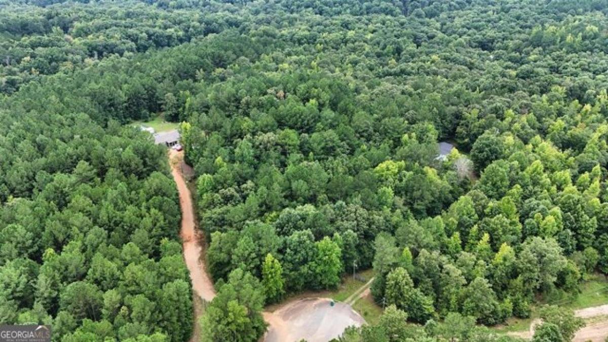 Picture of Residential Land For Sale in Elberton, Georgia, United States