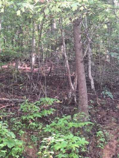 Residential Land For Sale in Suches, Georgia