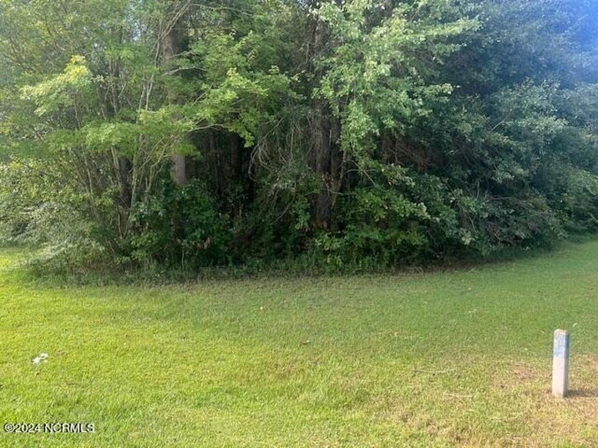 Picture of Residential Land For Sale in Whiteville, North Carolina, United States