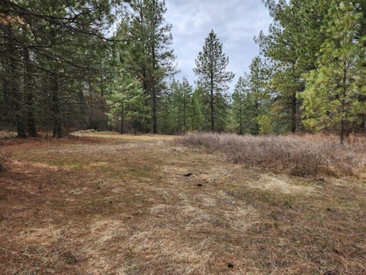 Picture of Residential Land For Sale in Valley, Washington, United States