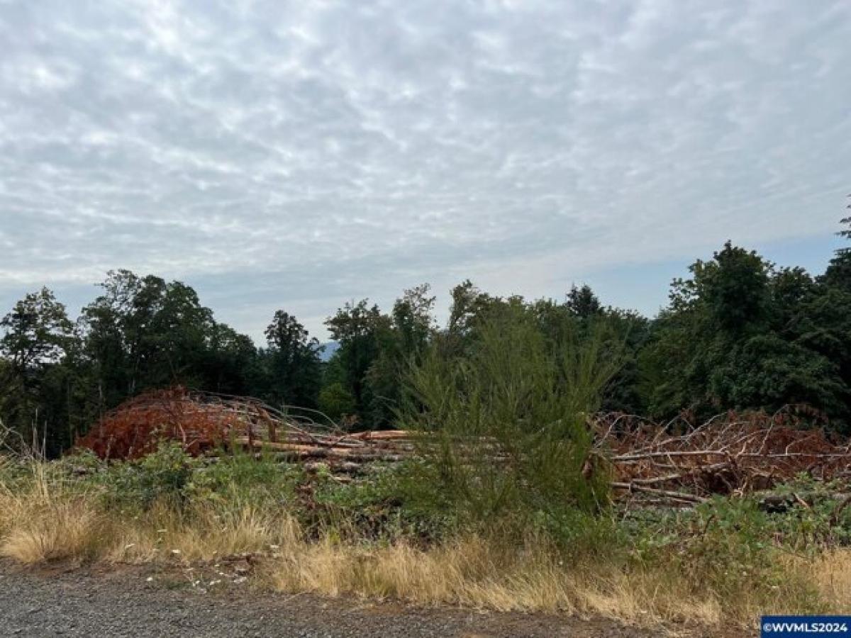 Picture of Residential Land For Sale in Salem, Oregon, United States