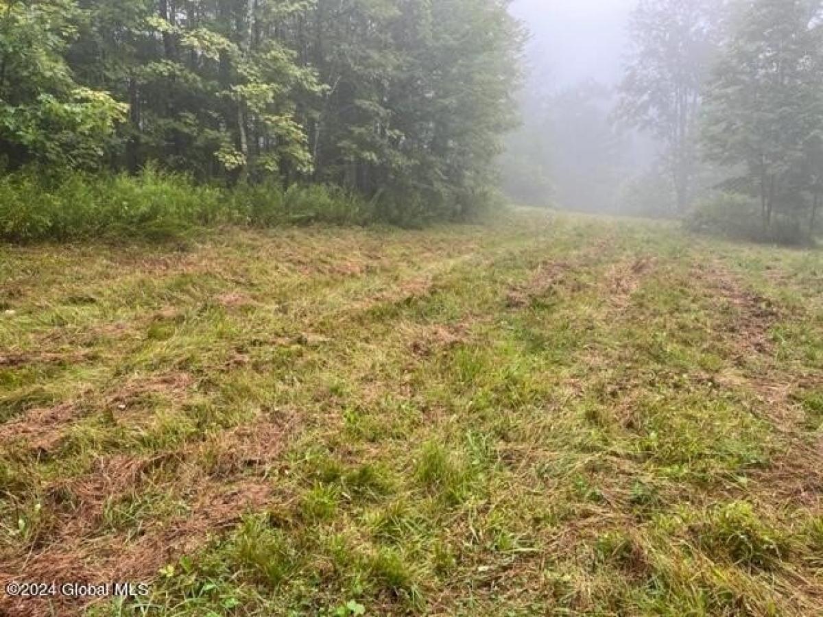 Picture of Residential Land For Sale in Rensselaerville, New York, United States