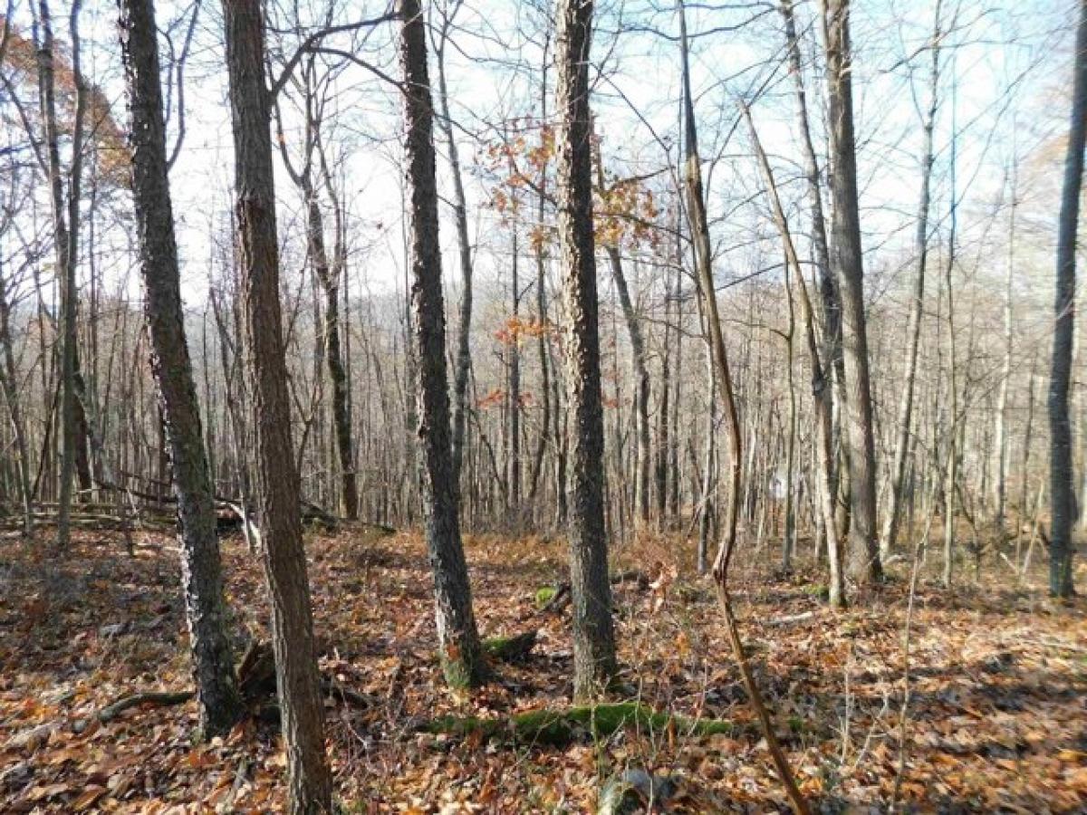 Picture of Residential Land For Sale in Terra Alta, West Virginia, United States