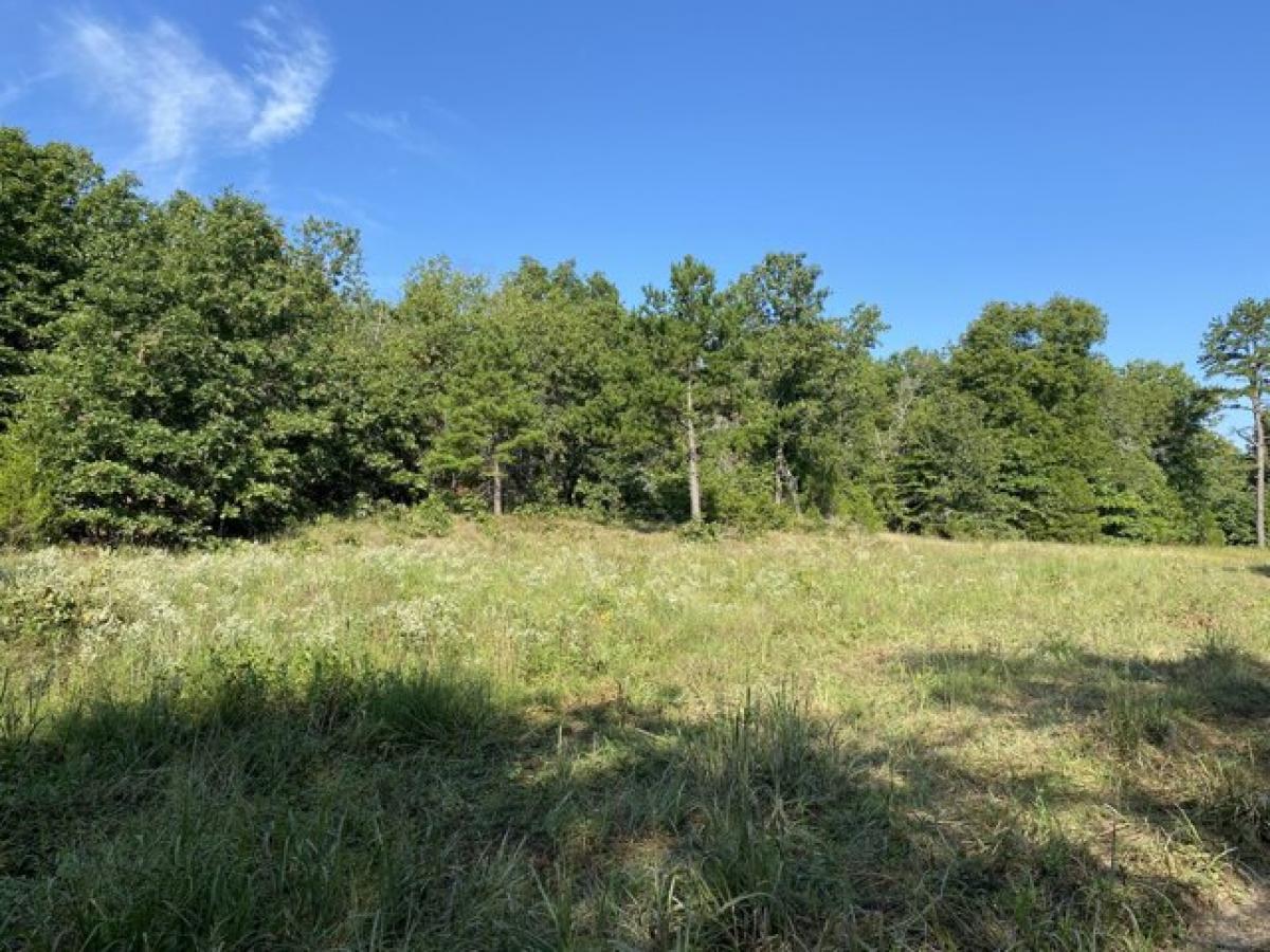 Picture of Residential Land For Sale in Licking, Missouri, United States