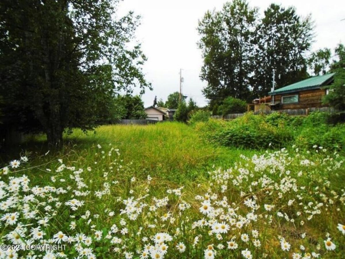 Picture of Residential Land For Sale in Anchorage, Alaska, United States