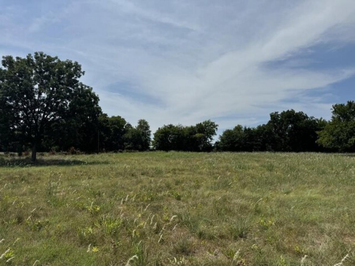 Picture of Residential Land For Sale in Pattonville, Texas, United States