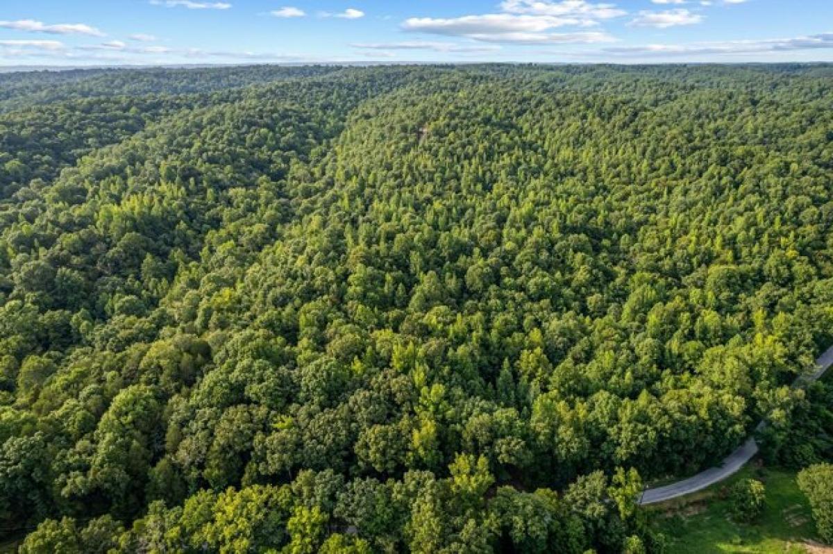 Picture of Residential Land For Sale in Linden, Tennessee, United States