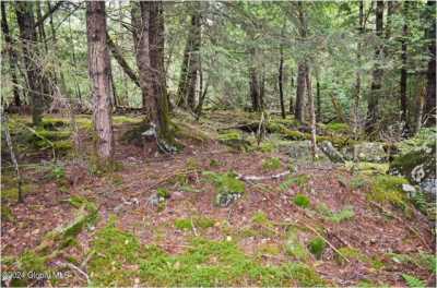 Residential Land For Sale in Brant Lake, New York