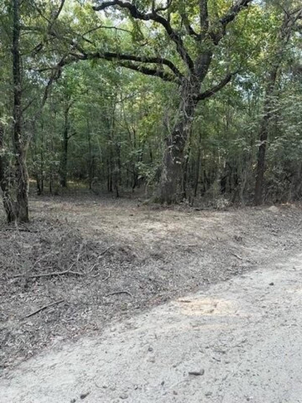 Picture of Residential Land For Sale in Clarksville, Texas, United States