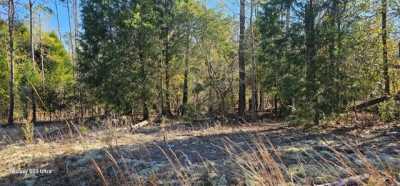 Residential Land For Sale in Georgetown, Georgia