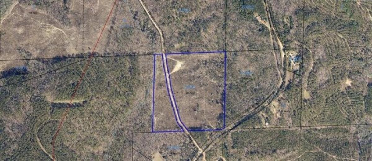 Picture of Residential Land For Sale in Clayton, Alabama, United States