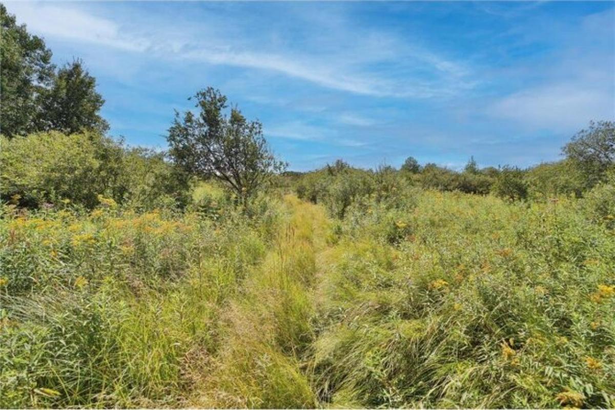 Picture of Residential Land For Sale in Staples, Minnesota, United States