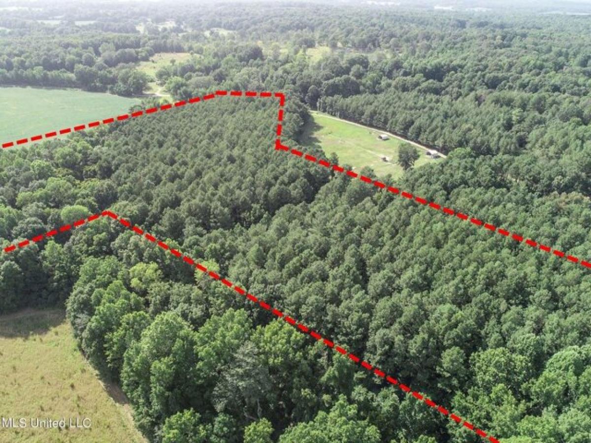 Picture of Residential Land For Sale in Pope, Mississippi, United States