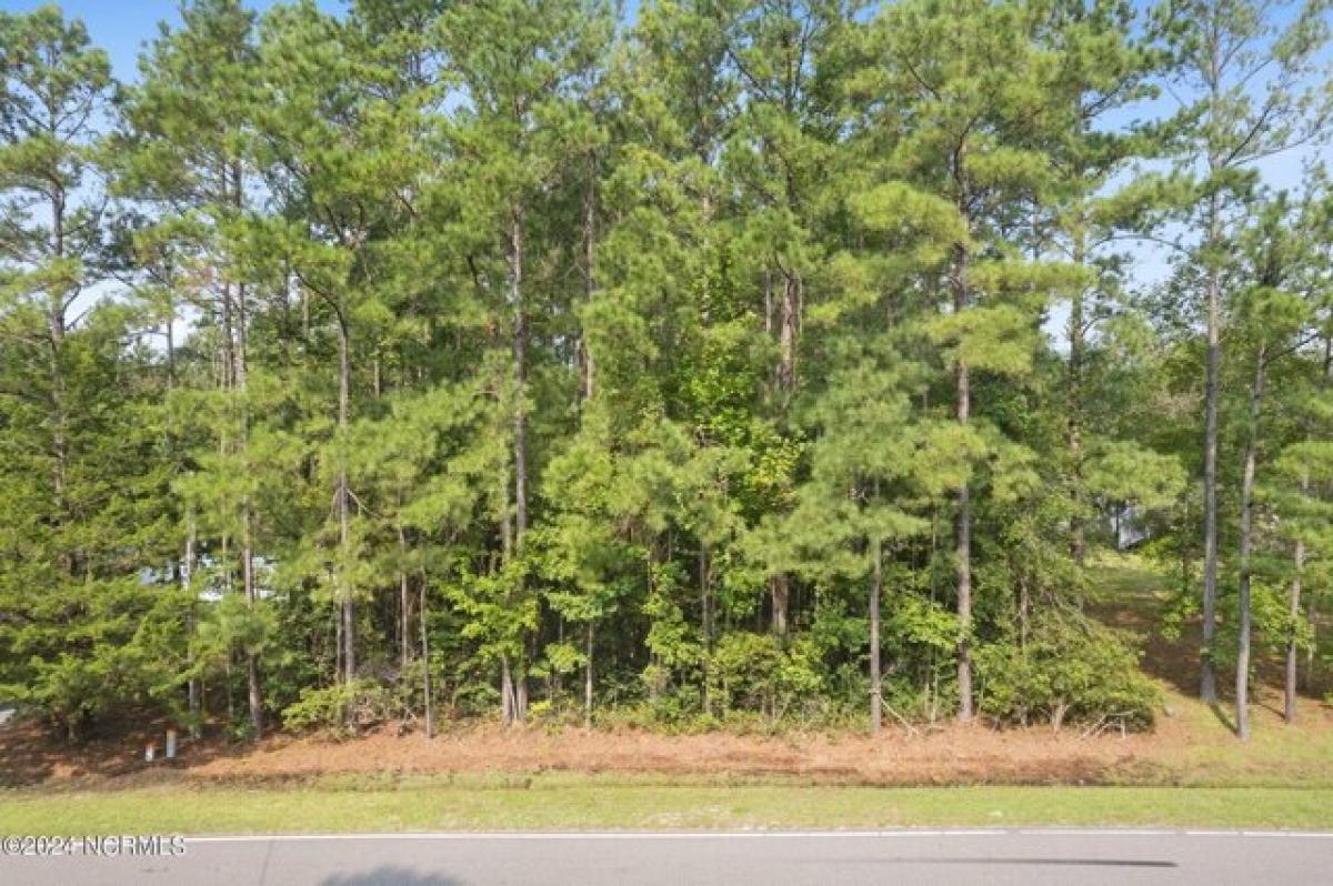 Picture of Residential Land For Sale in Supply, North Carolina, United States