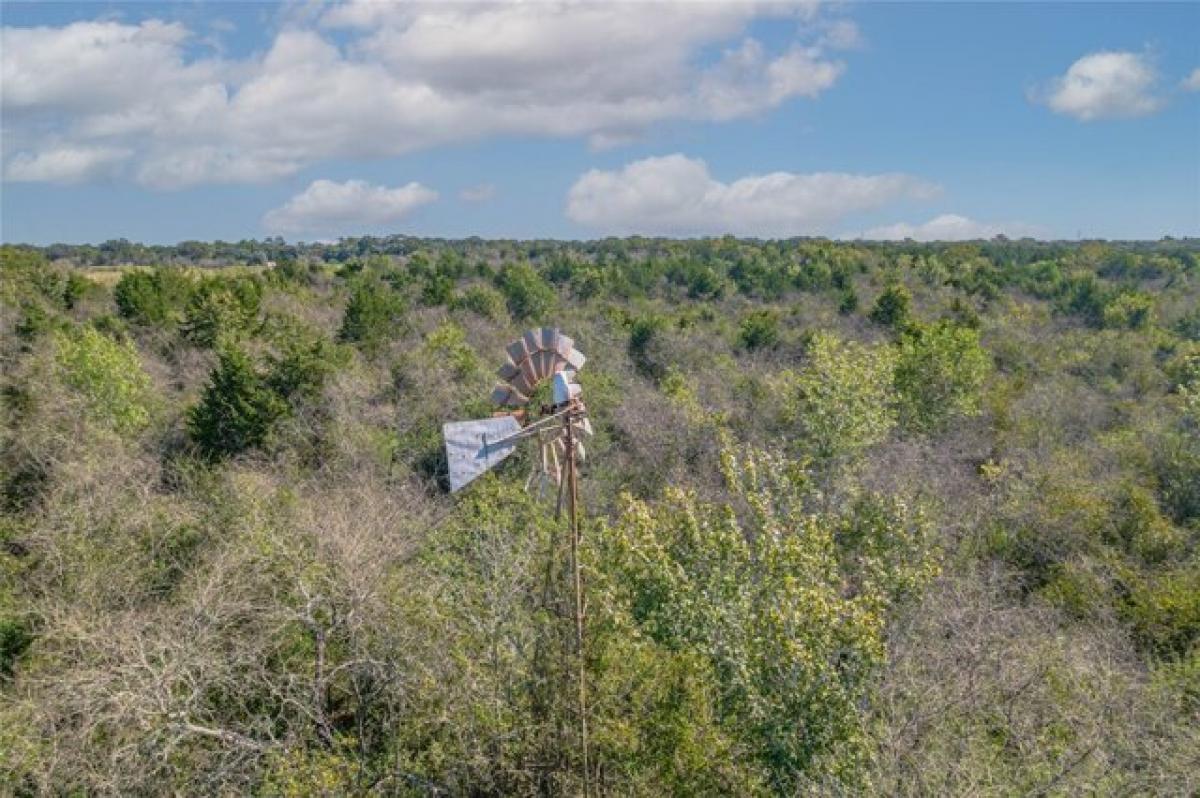 Picture of Residential Land For Sale in Bellville, Texas, United States