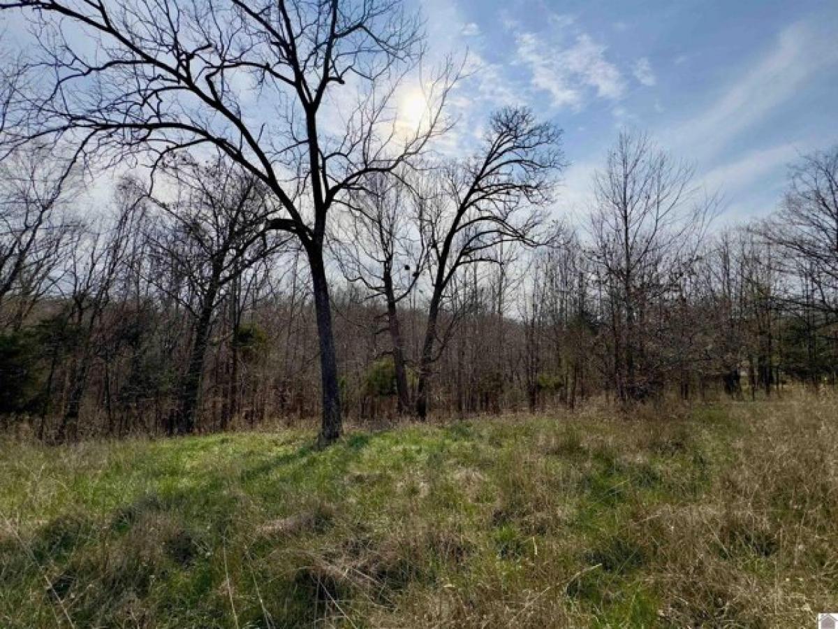 Picture of Residential Land For Sale in Cadiz, Kentucky, United States