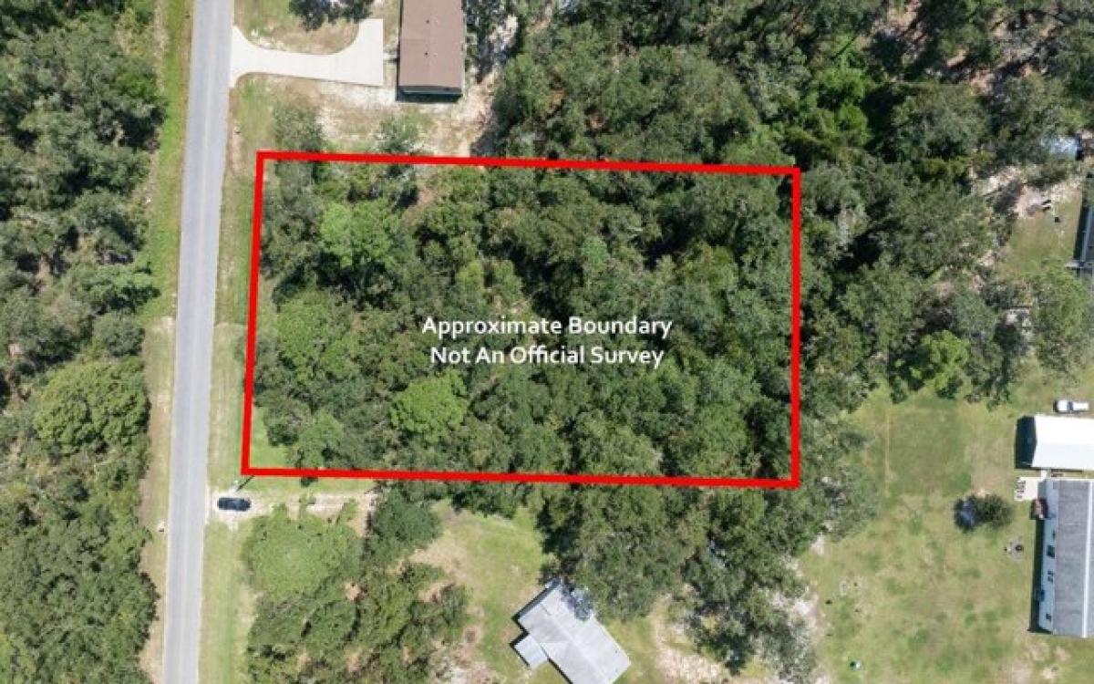 Picture of Residential Land For Sale in Live Oak, Florida, United States